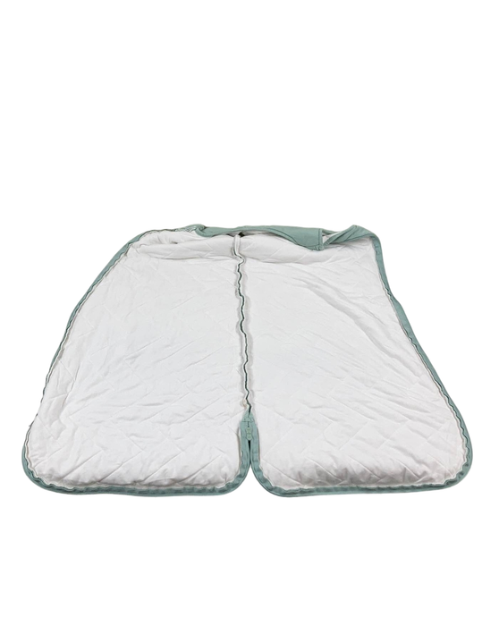 Shop Kyte Baby Sleep Bag 2.5, Medium(18-30 pounds), Sage at GoodBuy Gear