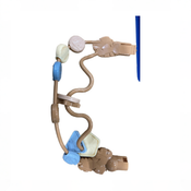 Shop Cosco Kids Twirl-and-Bounce Activity Center, Forest Friends at GoodBuy Gear