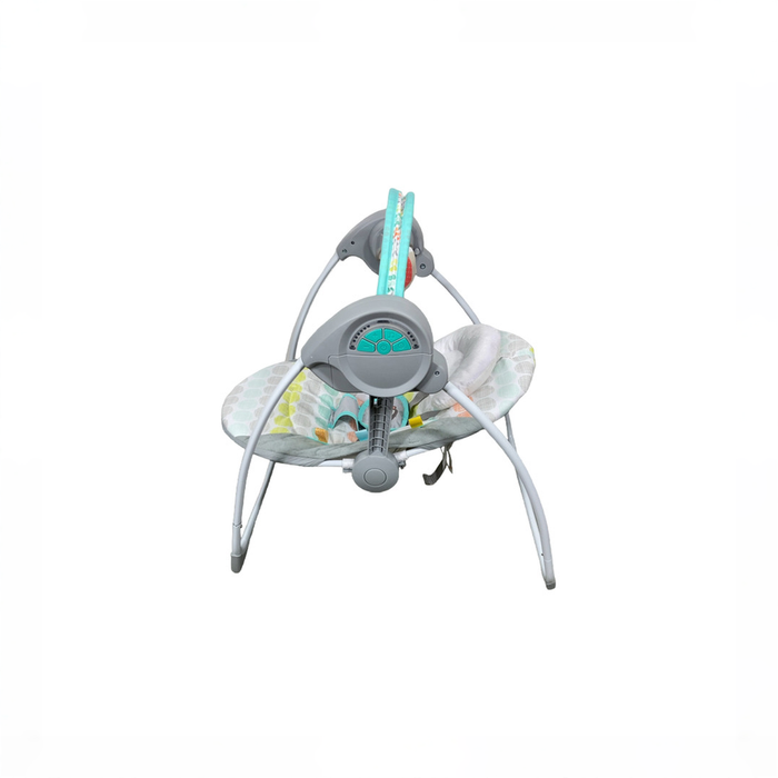 Shop Bright Starts Portable Swing, Whimsical Wild at GoodBuy Gear
