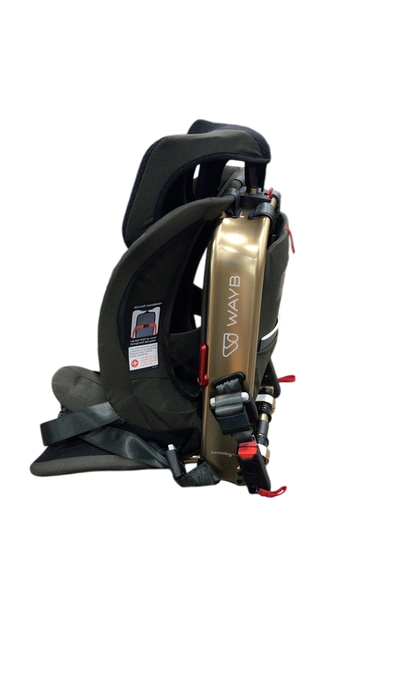 Shop WAYB Pico Portable Car Seat, 2023, Earth at GoodBuy Gear