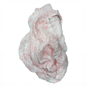 Shop Aden + Anais Muslin Crib Sheet, Damsel at GoodBuy Gear