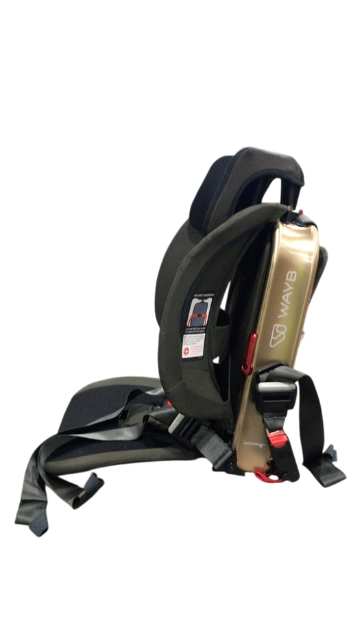 Shop WAYB Pico Portable Car Seat, 2023, Earth at GoodBuy Gear