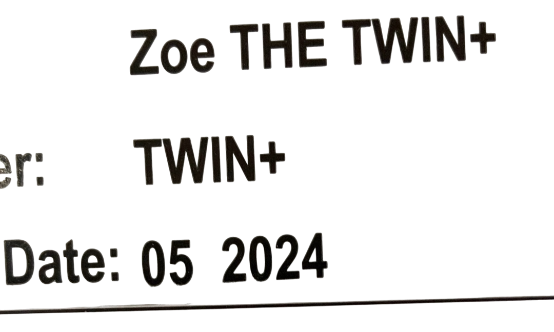 Shop Zoe The Twin V2 Double Stroller, Forest, 2024 at GoodBuy Gear