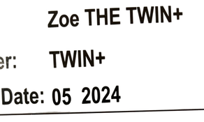 Shop Zoe The Twin V2 Double Stroller, Forest, 2024 at GoodBuy Gear