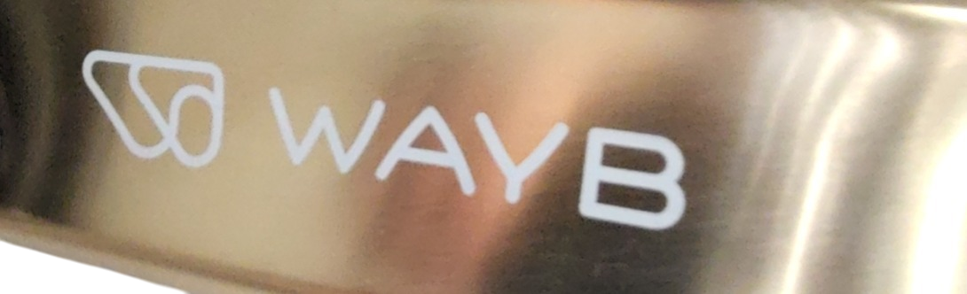 Shop WAYB Pico Portable Car Seat, 2024, Earth at GoodBuy Gear