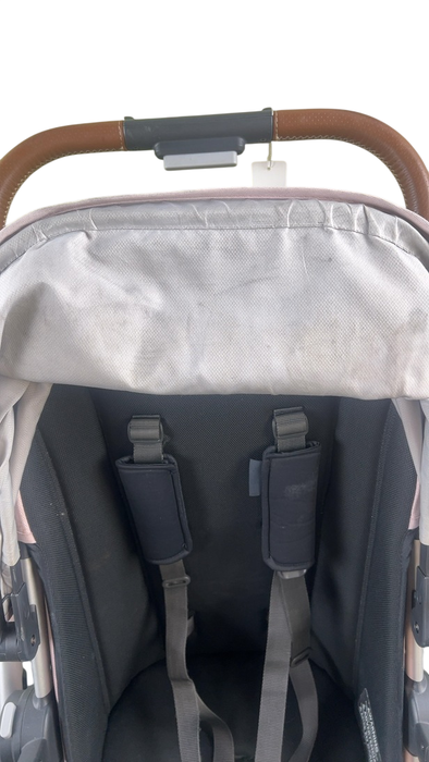 Shop UPPAbaby CRUZ V2 Stroller, 2021, Alice (Dusty Pink) at GoodBuy Gear