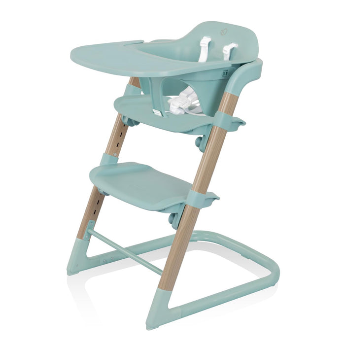 Evenflo RightSeat Multistage High Chair, Sage