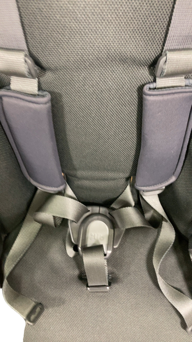 Shop UPPAbaby VISTA RumbleSeat V2, 2015+, Alice (Dusty Pink) at GoodBuy Gear