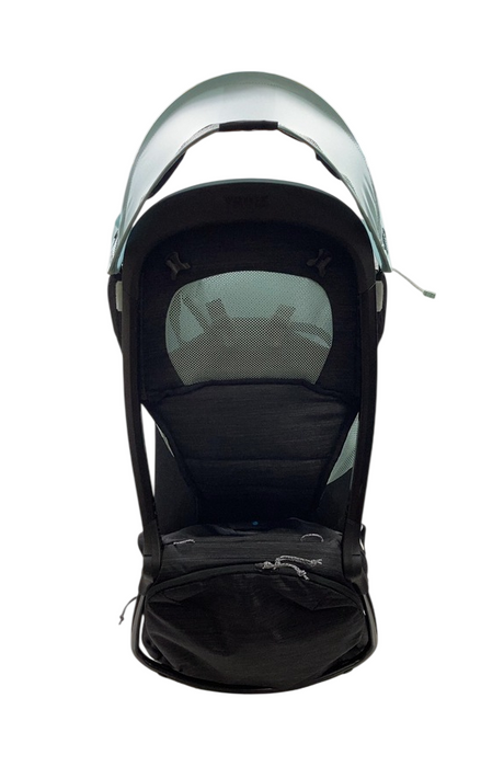 Shop Thule Sapling Child Carrier, Black at GoodBuy Gear