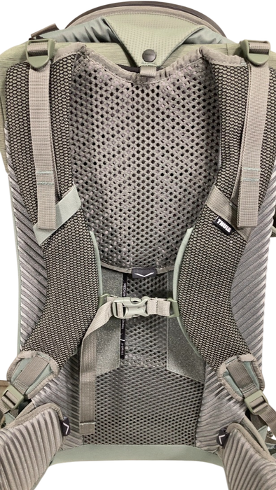 Shop Thule Sapling Child Carrier, Agave at GoodBuy Gear