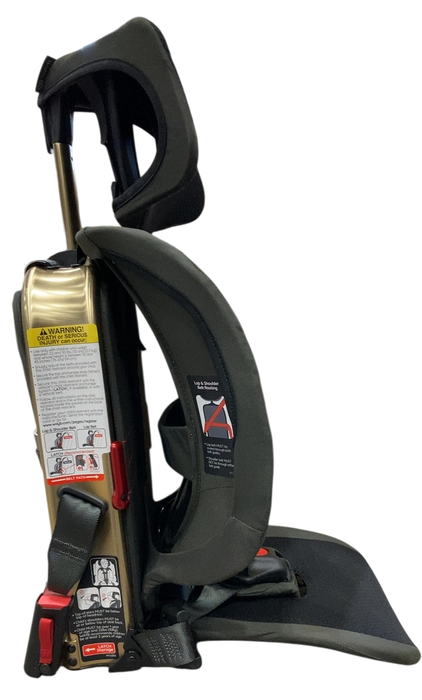 Shop WAYB Pico Portable Car Seat, 2024, Earth at GoodBuy Gear