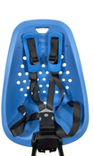 Shop Thule Yepp Mini Child Bike Seat, Blue at GoodBuy Gear