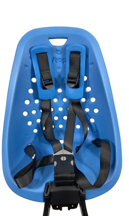 Shop Thule Yepp Mini Child Bike Seat, Blue at GoodBuy Gear