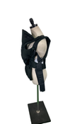 Shop BabyBjorn Baby Carrier Free 3D Mesh, Black at GoodBuy Gear