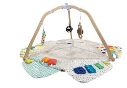 Shop Lovevery The Play Gym, Multi-Color at GoodBuy Gear