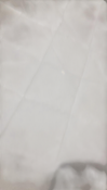 Shop Halo BassiNest Connected Swivel Sleeper 3.0, White/Grey at GoodBuy Gear
