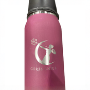 Shop Ceres Chill Legacy Breastmilk Chiller (32oz), Plum at GoodBuy Gear