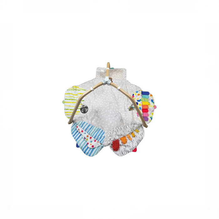 Shop Lovevery The Play Gym, Multi-Color at GoodBuy Gear