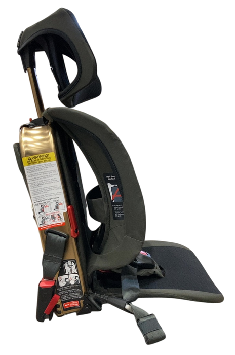 Shop WAYB Pico Portable Car Seat, 2023, Earth at GoodBuy Gear