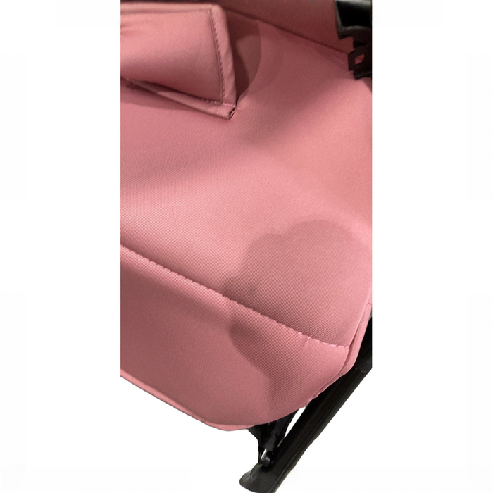 Shop Parent’s Choice Lightweight Quick Fold Baby Stroller, 2025, Dusty Rose at GoodBuy Gear