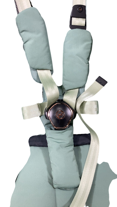 Shop Cybex Coya Stroller, 2023, Chrome, Leaf Green at GoodBuy Gear