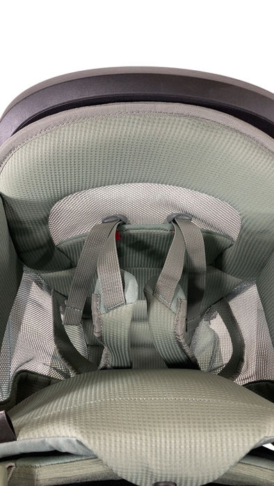 Shop Thule Sapling Child Carrier, Agave at GoodBuy Gear