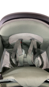 Shop Thule Sapling Child Carrier, Agave at GoodBuy Gear