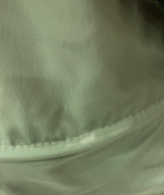 Shop Cybex Coya Stroller, 2023, Chrome, Leaf Green at GoodBuy Gear