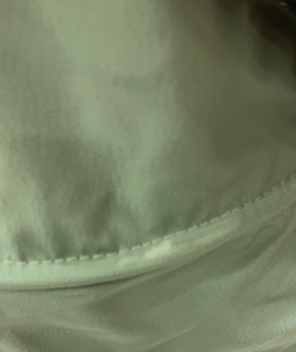 Shop Cybex Coya Stroller, 2023, Chrome, Leaf Green at GoodBuy Gear