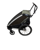 Shop Thule Chariot Lite Bike Trailer Stroller 1 Seat, 2021, Agave at GoodBuy Gear