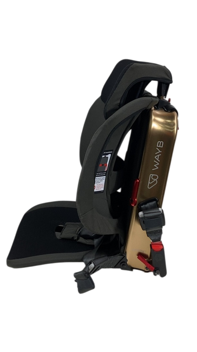 Shop WAYB Pico Portable Car Seat, 2023, Earth at GoodBuy Gear