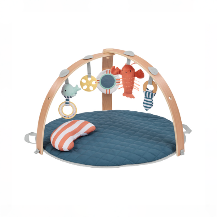 Shop Ingenuity Cozy Spot Reversible Activity Gym, Harbor Haven at GoodBuy Gear