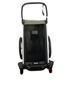 Shop Thule Chariot Lite Bike Trailer Stroller 1 Seat, 2021, Agave at GoodBuy Gear