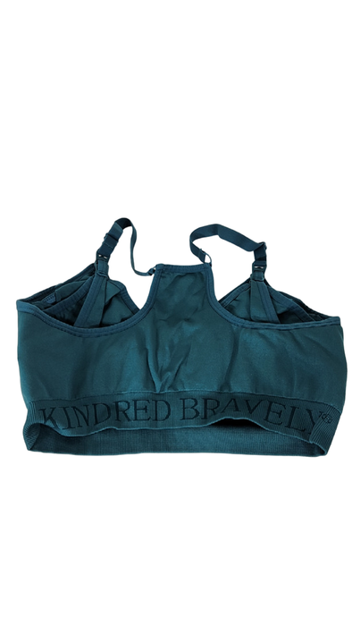 Shop Kindred Bravely Sublime Hands-Free Pumping & Nursing Bra, Busty, Large, Teal at GoodBuy Gear