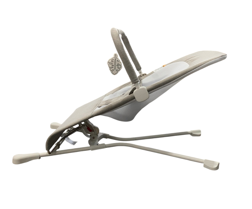 Shop Baby Delight Highland Bouncer, Pebble Grey at GoodBuy Gear