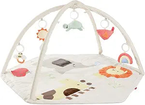 Shop Skip Hop Activity Gym Play Mat, Geometric Wonders at GoodBuy Gear