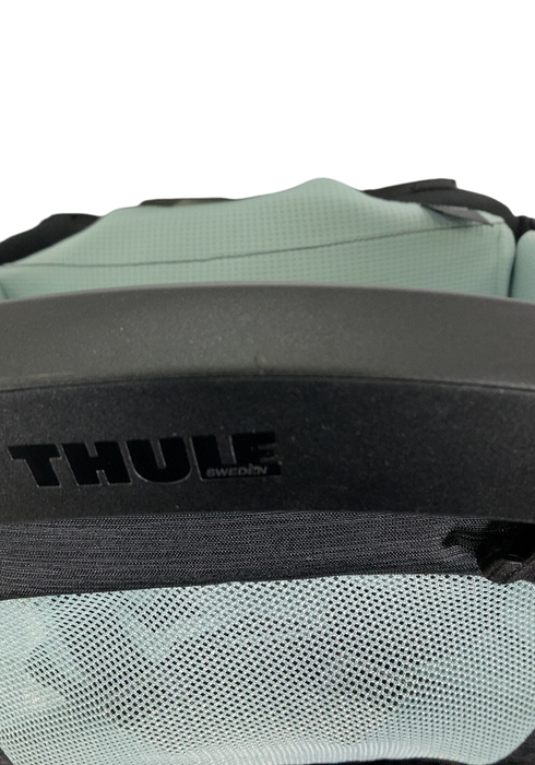 Shop Thule Sapling Child Carrier, Black at GoodBuy Gear