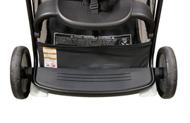 Shop Graco Ready2Grow 2.0 Double Stroller, 2024, Rafa at GoodBuy Gear