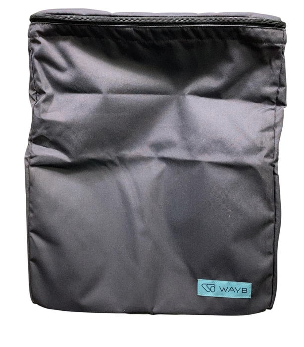 Shop WAYB Pico Portable Car Seat Bundle, 2022, Jet, with Carry Bag at GoodBuy Gear