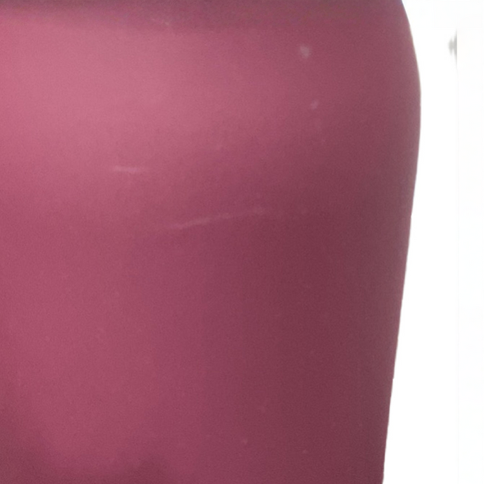 Shop Ceres Chill Legacy Breastmilk Chiller (32oz), Plum at GoodBuy Gear