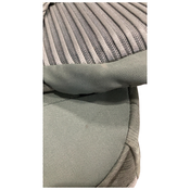 Shop Thule Sapling Child Carrier, Agave at GoodBuy Gear