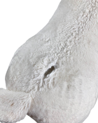 secondhand Home Nursery