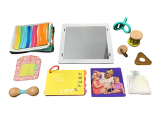 used Lovevery The Charmer Play Kit