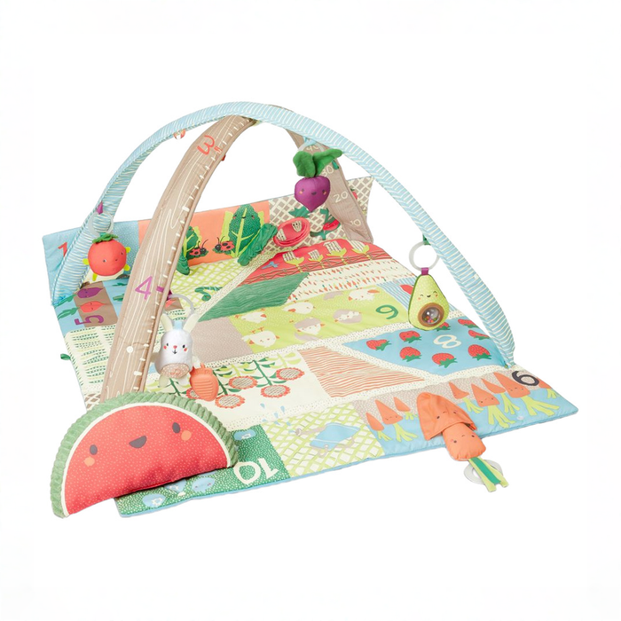 Shop Skip Hop Activity Gym Play Mat, Farmstand Grow & Play at GoodBuy Gear