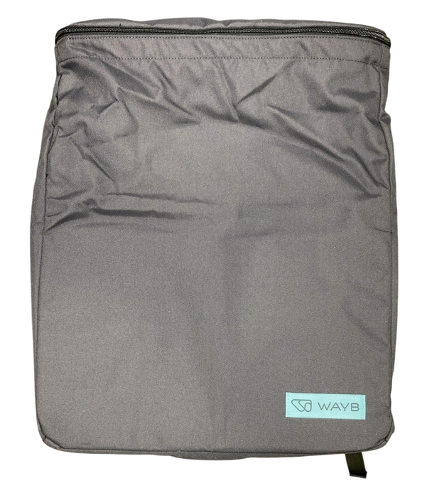 Shop WAYB Pico Portable Car Seat Bundle, 2022, Jet, with Carry Bag at GoodBuy Gear