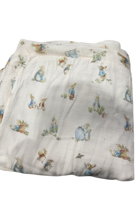 Shop Saranoni Peter Rabbit Bamboo Rayon Muslin/Lush Blanket, 15"x20", Boy at GoodBuy Gear