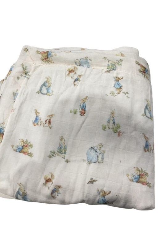 Shop Saranoni Peter Rabbit Bamboo Rayon Muslin/Lush Blanket, 15"x20", Boy at GoodBuy Gear