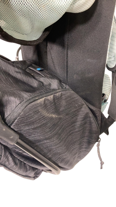 Shop Thule Sapling Child Carrier, Black at GoodBuy Gear
