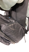 Shop Thule Sapling Child Carrier, Black at GoodBuy Gear