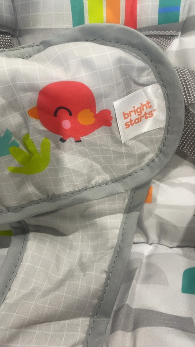 Shop Bright Starts Portable Swing, Playful Paradise at GoodBuy Gear